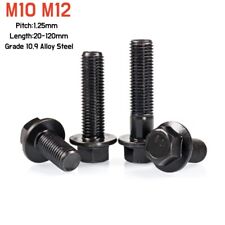 M10x1.25 M12x1.25 Fine Pitch