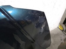 4894794AD motorhaube für