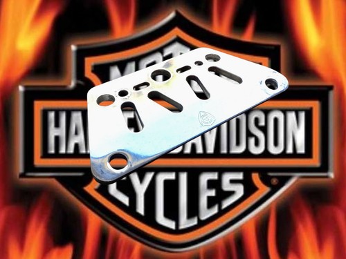 Harley davidson arlen ness - arlen,