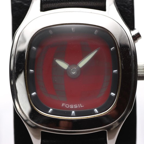 Seltene fossil big tic - big, red