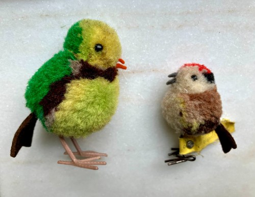 Zwei kleine vögel - zwei,
