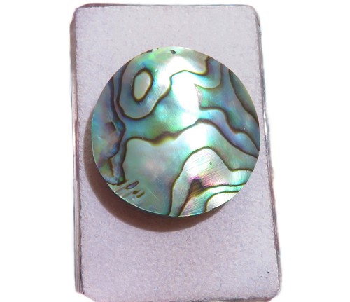 Paua muschel abalone cabochon - paua,