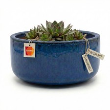 Pflanzschale royal blau - blau, Ø