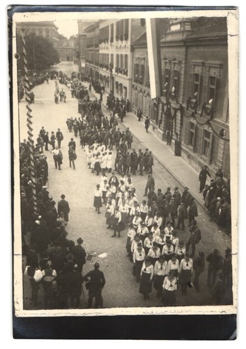 Fotografie sokol anhäger - sokol, in