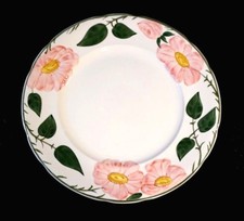 Beautiful Villeroy Boch Wild