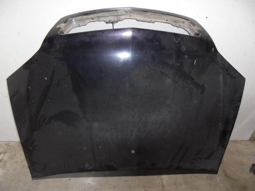 1160003 3630858 motorhaube
