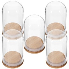5 Pcs Dekoratives Display