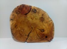  Baumscheibe, Holzscheibe, Holzdeko, Bastelholz, Dekoration, gestockte Erle 