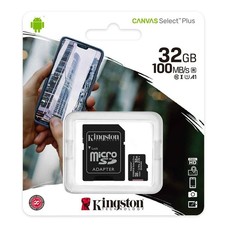 Kingston 32 GB Class 10