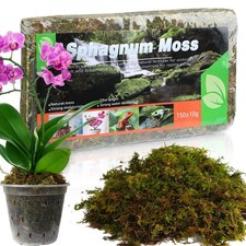 Sphagnum Moos für Pflanzen