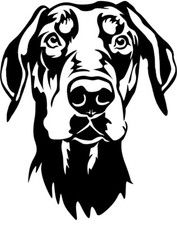 DOBERMANN Aufkleber - Autoaufkleber - sticker - Dobermann Kopf #84