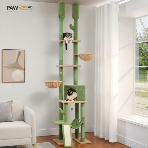 Pawz road kratzbaum deckenhoch - road,