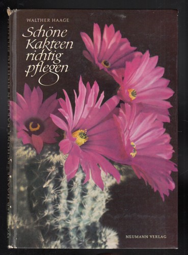 Schöne kakteen richtig - schöne,