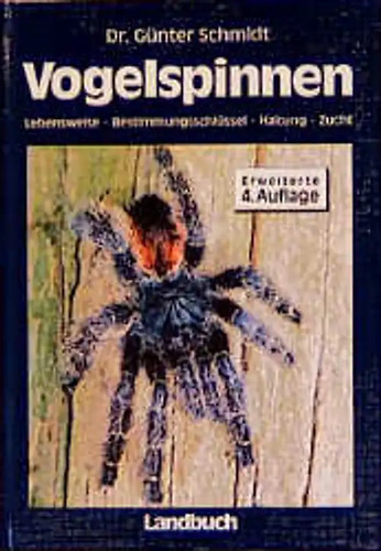 Vogelspinnen lebensweise - vogelspinnen.,