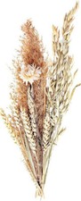 Trockenblumenstrauß Natural 30 cm Wildhafer Kornblume Unikat