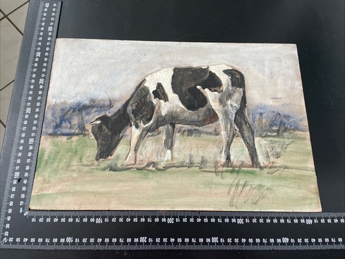 Bernhard huys öl - studie, kuh