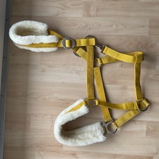 Showmaster - Teddyfleece - Halfter - xfull - Kaltblut In Golden Mango