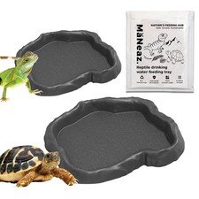 Stück schildkröten - stück,