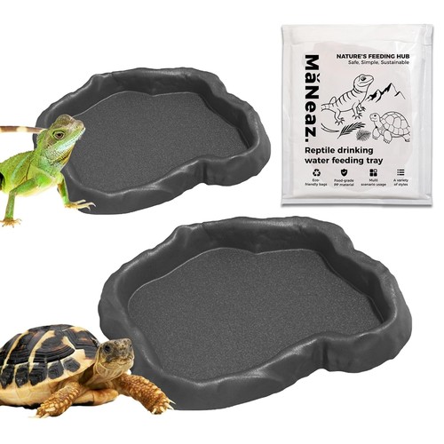 Stück schildkröten - 2,