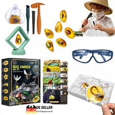 Bernstein Ausgrabungsset für Kinder Edelstein Ausgraben Spielzeug mit 6 Insekte