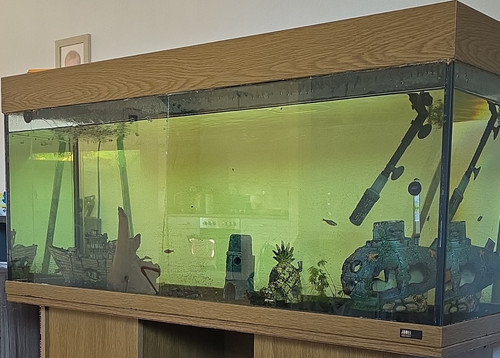 Juwel komplettaquarium - juwel,