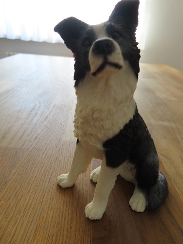 Border collie kunstharz - border,