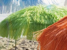 Jan Kurtz Hawaii Sonnenschirm