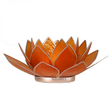 Davartis - Capiz-Muschel - Lotus Chakra Licht / Teelichthalter orange