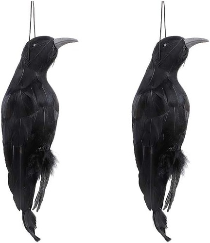 Toter rabe stück - rabe,