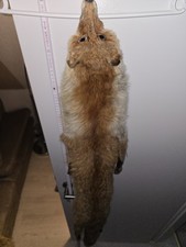 Fuchs Pelz Stola Schal Vintage