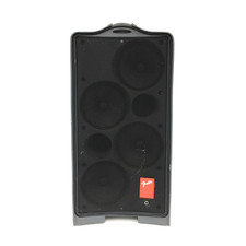 Fender Passport P-250