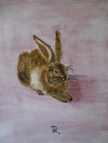 Der hase nach dürer aquarell - hase,