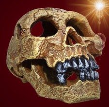 Aquarium Deko ❤ Totenkopf L ❤ Schädel 16cm groß Terrarium Skull Dekoration Höhle