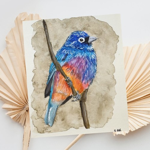 Bunter vogel aquarellbild - bunter,