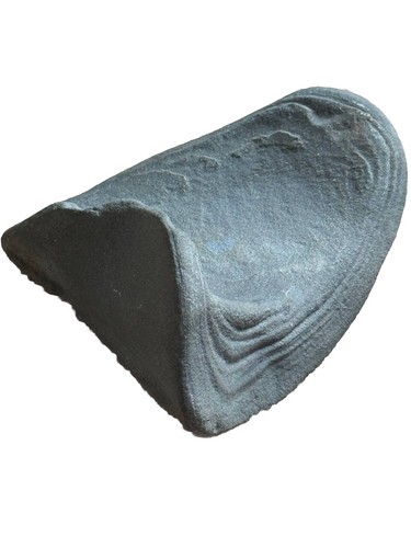 Fossiler knochen - fossiler,