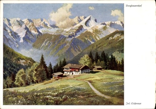 Künstler süßmayr josef - künstler,