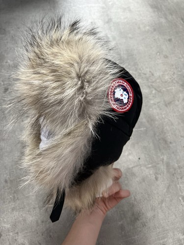 Canada goose fliegermütze - goose,