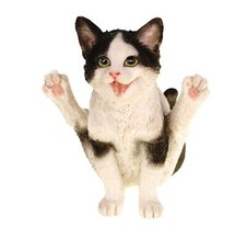 Yoga Katze in Stellung