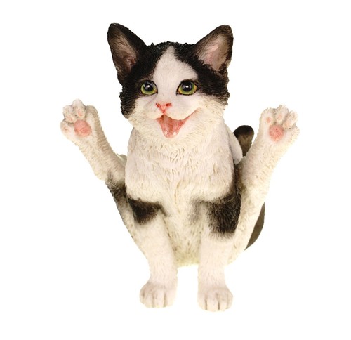 Yoga katze stellung - yoga,