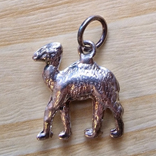 Kamel dromedar charm anhänger - kamel/dromedar,