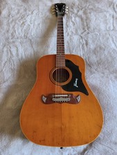 Framus Western-Gitarre, Modell