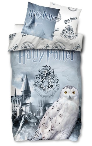 Harry potter hogwarts - harry,