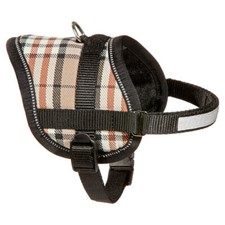 Karlie Teeny Weeny Hunde