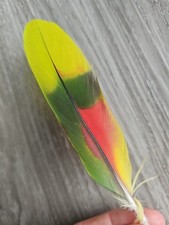 14 cm bunte 💚💛❤