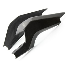 Carbon Schwingenschutz für