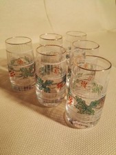6x hübsche Likörgläser