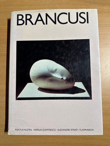 48129 238 art brancusi - brancusi,