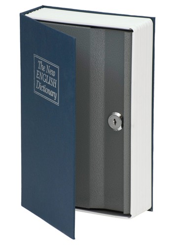 Safe buch english - safe, "buch