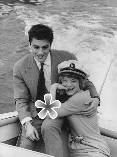 Foto alain delon reproduktion - delon,