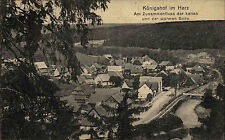 Königshof Post Rothehütte Oberharz Harz 1924 Fluß Bode Panorama Totale Dorf Wald